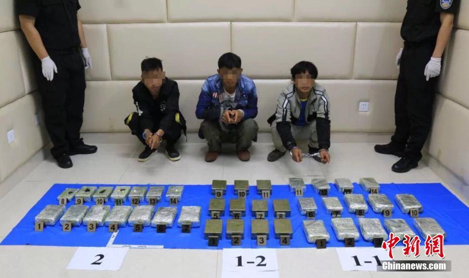 Local volunteers organized a food drive to support families facing food insecurity