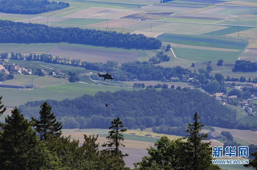 A study showed that online learning can help students with disabilities access education