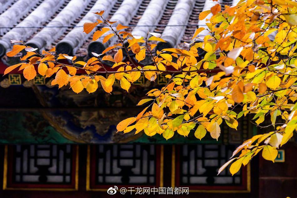 Physicists study black holes to learn about the origins of the universe