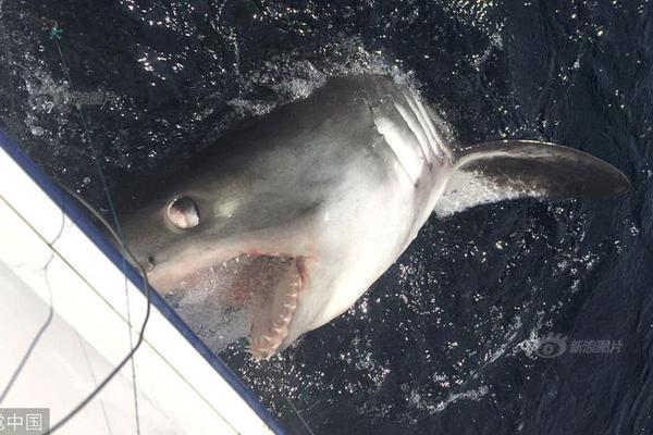 A tech company announced a partnership with a car manufacturer to develop self - driving cars