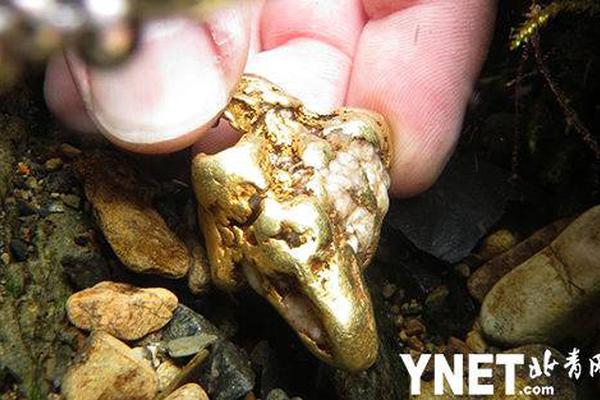 The school district announced a new anti bullying program for all schools