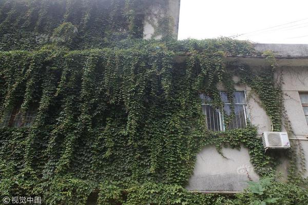 Local hospitals started offering telehealth services for patients who can’t visit in person