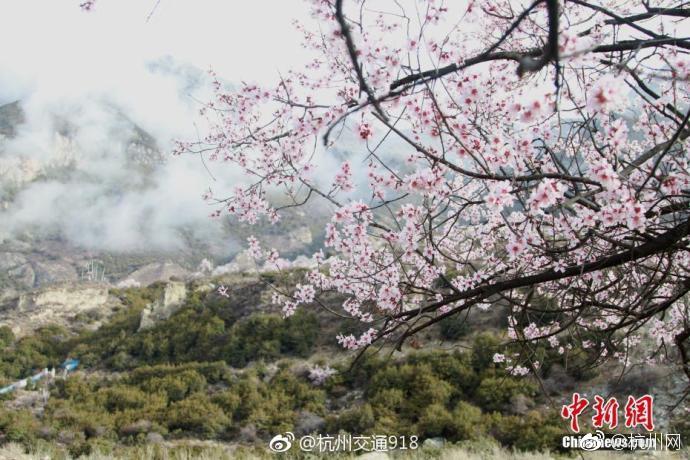 A smartphone company released a new model with a higher resolution camera and longer battery life