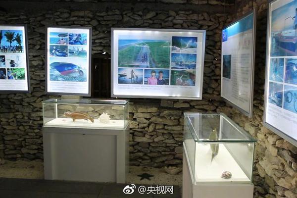 A charity organized a benefit concert featuring local musicians, raising $50,000 for a children’s hospital