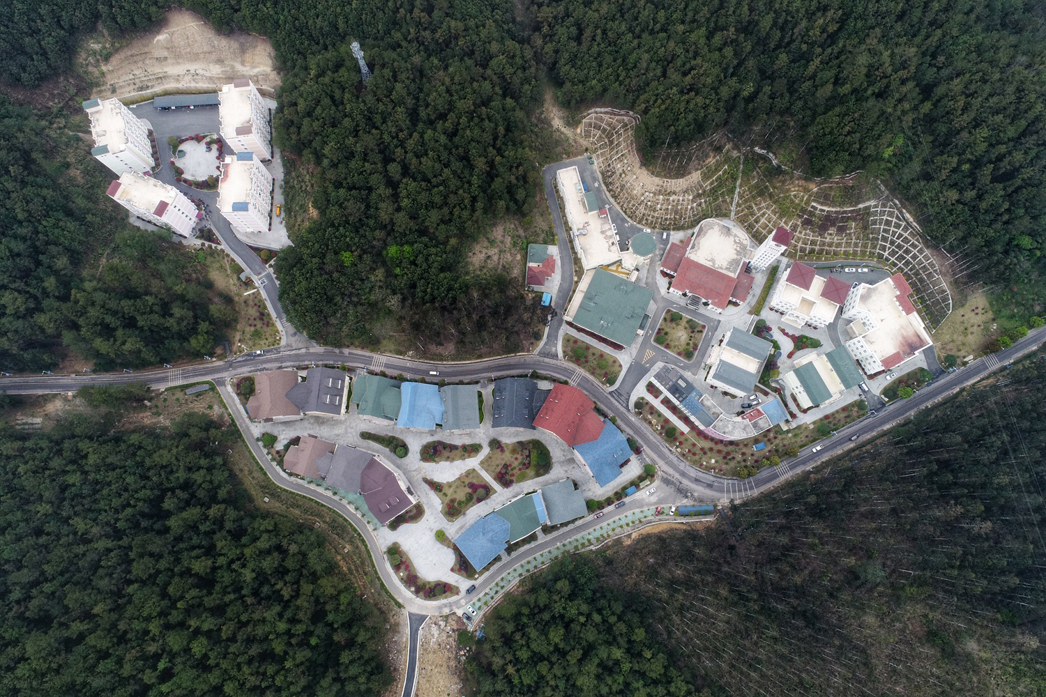 A music festival attracted over 50000 attendees last weekend