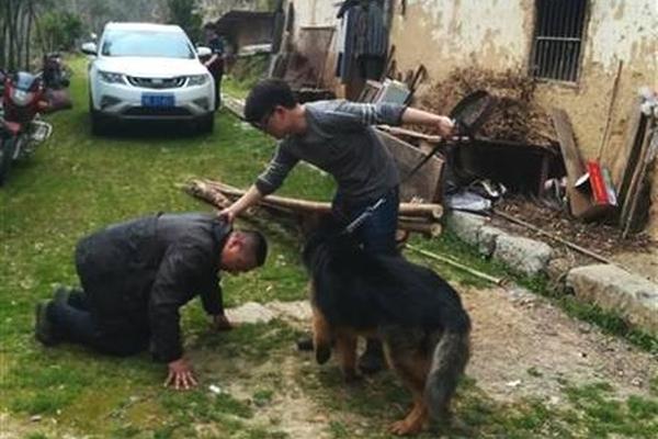 A tornado touched down in a small town destroying several homes and a school