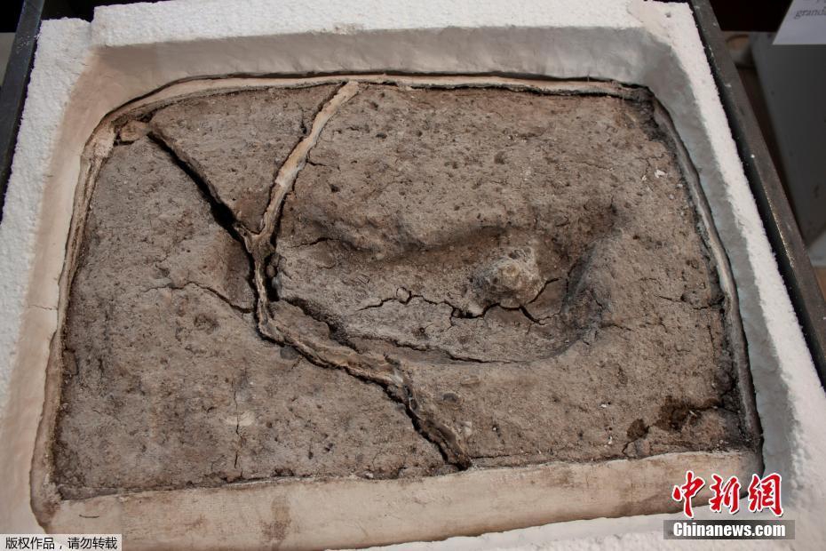 The government provided grants to eco-friendly businesses