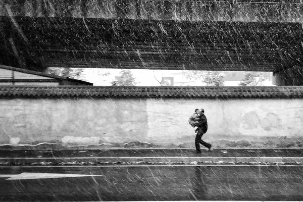 A team of scientists published a study on how climate change is affecting polar bear habitats