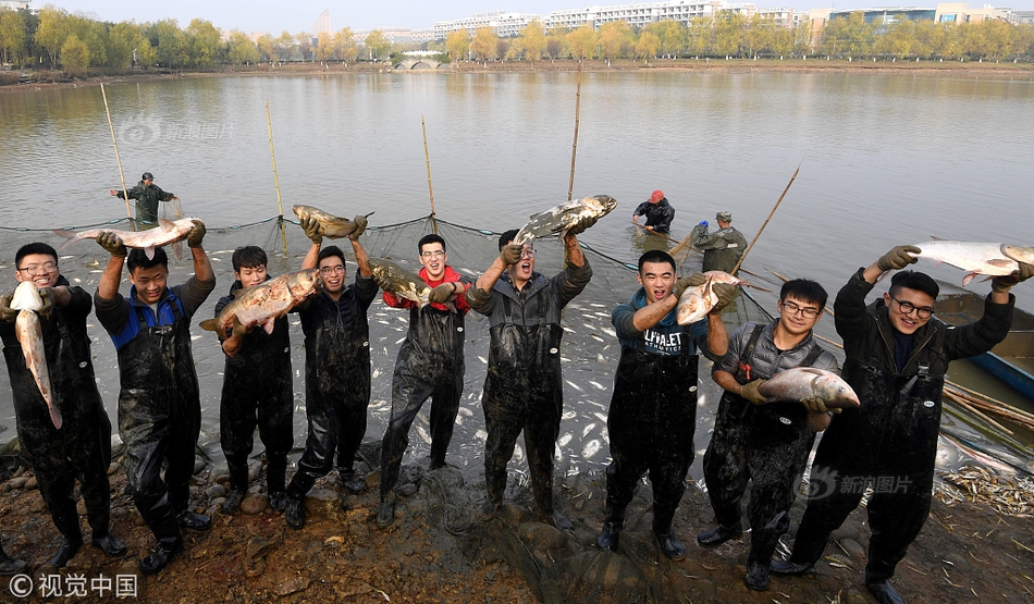 A team of marine biologists discovered a new species of dolphin in the Indian Ocean