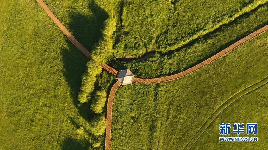 Farmers in the region reported better harvests of wheat and corn due to improved irrigation