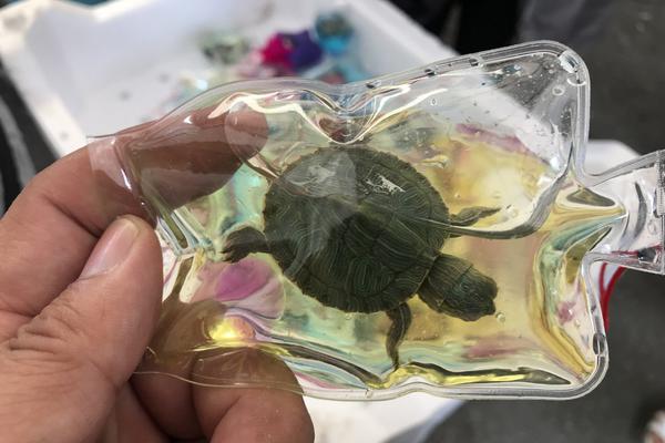 Researchers found that playing musical instruments improves brain function