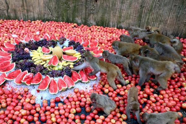 A school started a music program that provides free instruments to students who can’t afford them