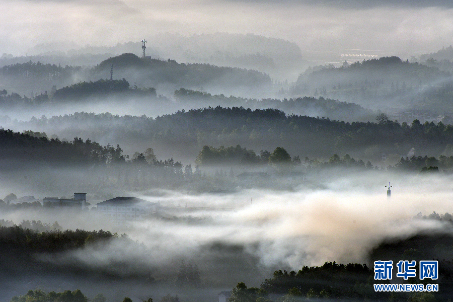 A famous chef opened a new restaurant specializing in fusion cuisine combining two cultures