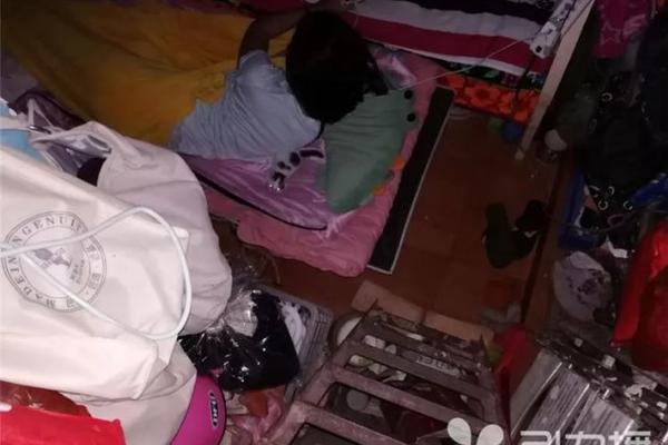 A major oil company announced it will invest $10 billion in renewable energy over the next decade, shifting away from fossil fuels.