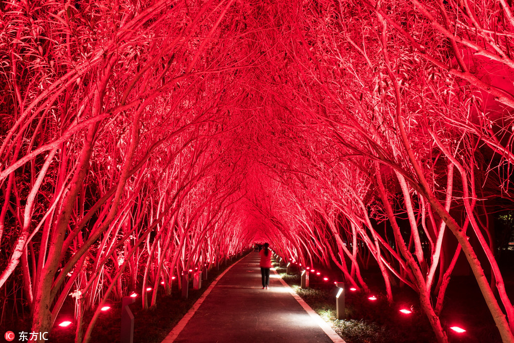 The city’s public transport system added more buses to reduce overcrowding