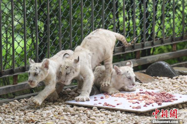 Bus company adds express routes to reduce commute times for downtown workers