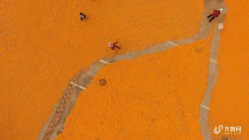 A community center started a cooking class for seniors to teach healthy meal preparation