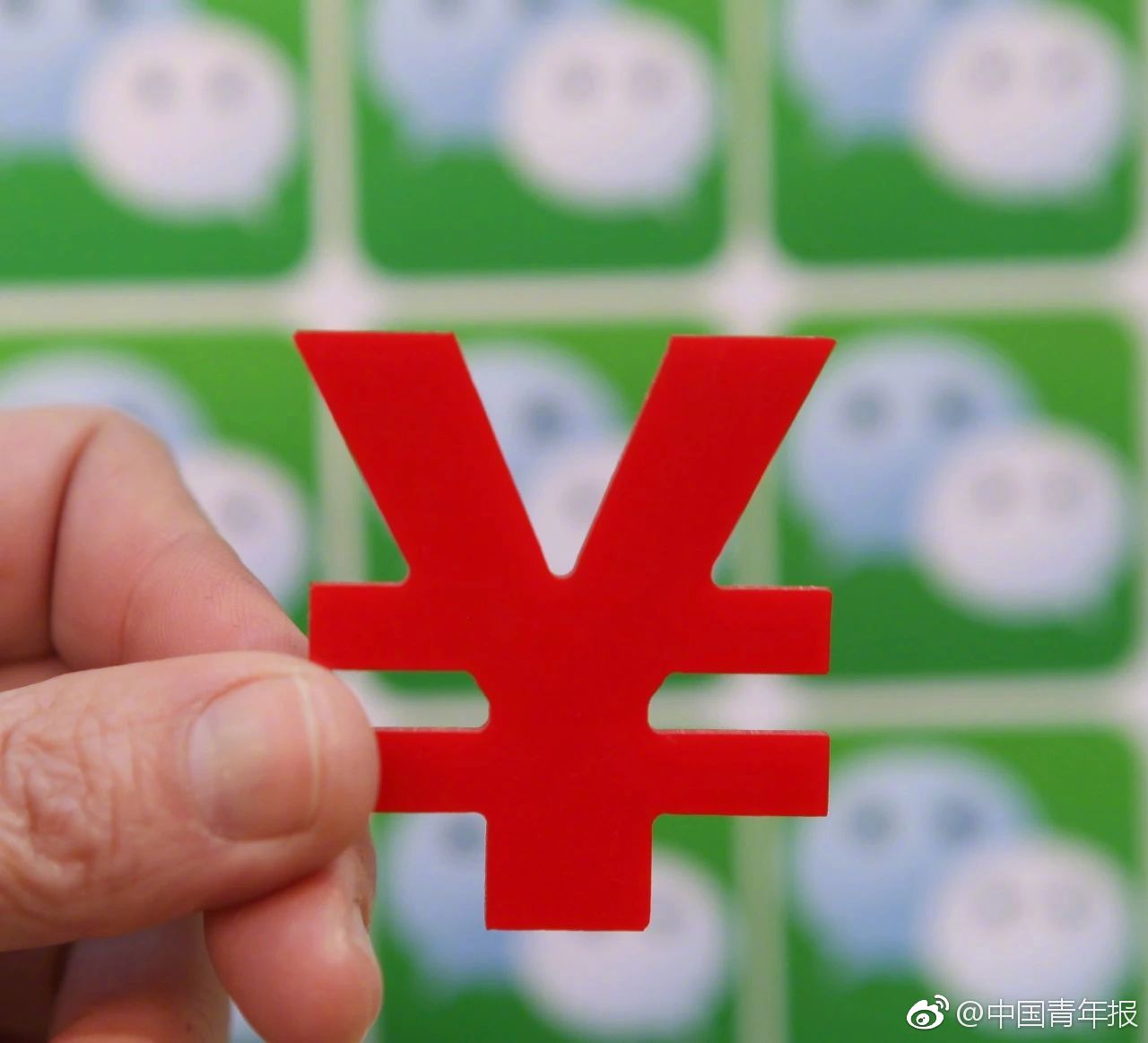 A pet rescue organization started a 