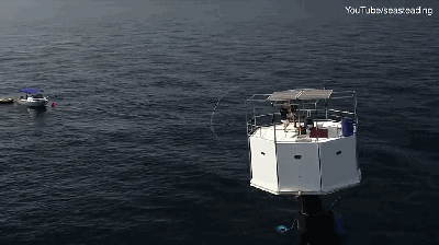 A school started a gardening club that grew vegetables for the school cafeteria