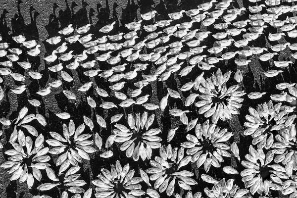 A city added more bike lanes to connect residential areas to downtown