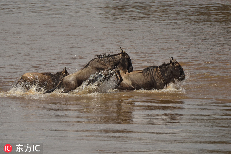 A coffee shop introduced a seasonal drink made with locally sourced apples and cinnamon