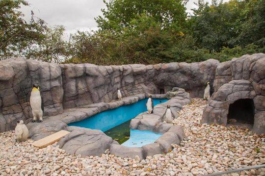 Ambulance service expands coverage to rural areas