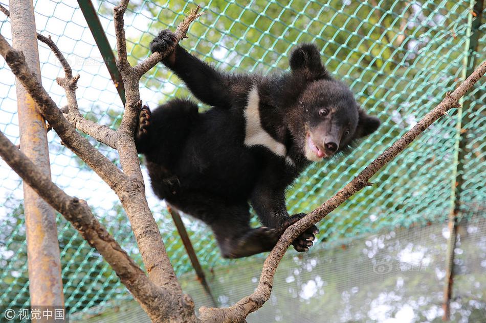 A hospital announced it will build a new cancer treatment center with state-of-the-art equipment