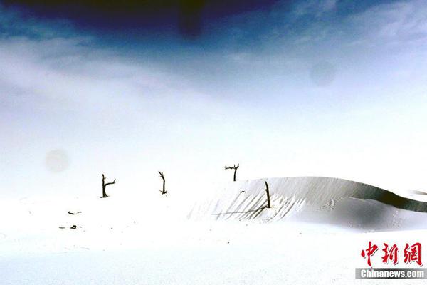 Engineers developed a new type of solar panel that is 55% more efficient than current models