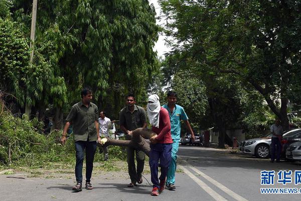 The government provided grants to eco-friendly businesses