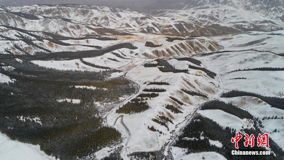 A tech company announced a new feature for its streaming service that allows offline viewing