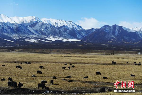 A construction company finished building a new apartment complex