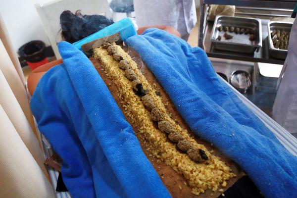 A farm started selling homemade jams and jellies at local markets, using excess fruit to reduce waste