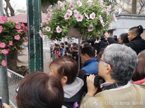 A city added 15 new bike racks in downtown areas to encourage eco-friendly transportation
