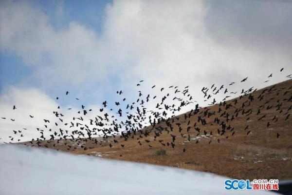 A local business owner won an entrepreneurship award for sustainable business innovation