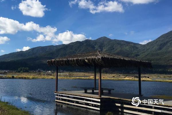 Florist creates custom flower arrangements for wedding season