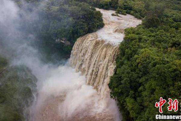 A community organized a food drive to collect donations for low-income families during the holiday season