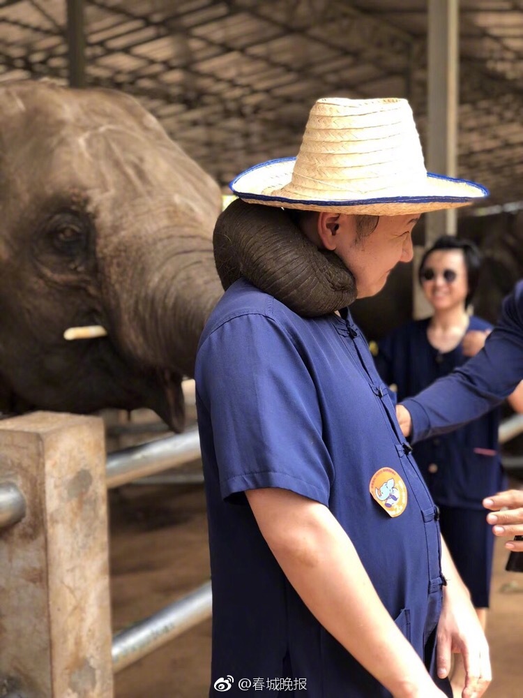 The city introduced a new program to give rebates to residents who install solar panels