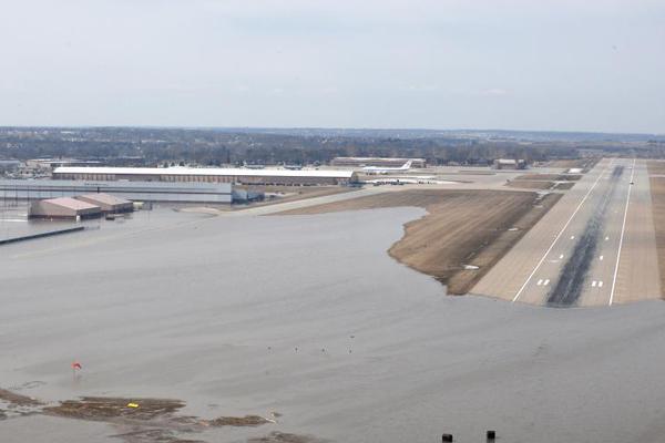A new species of plant was discovered in a tropical rainforest