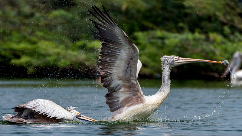 The stock market recovered after a period of uncertainty