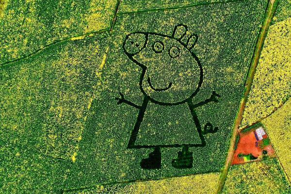 The stock market fluctuated due to global political tensions