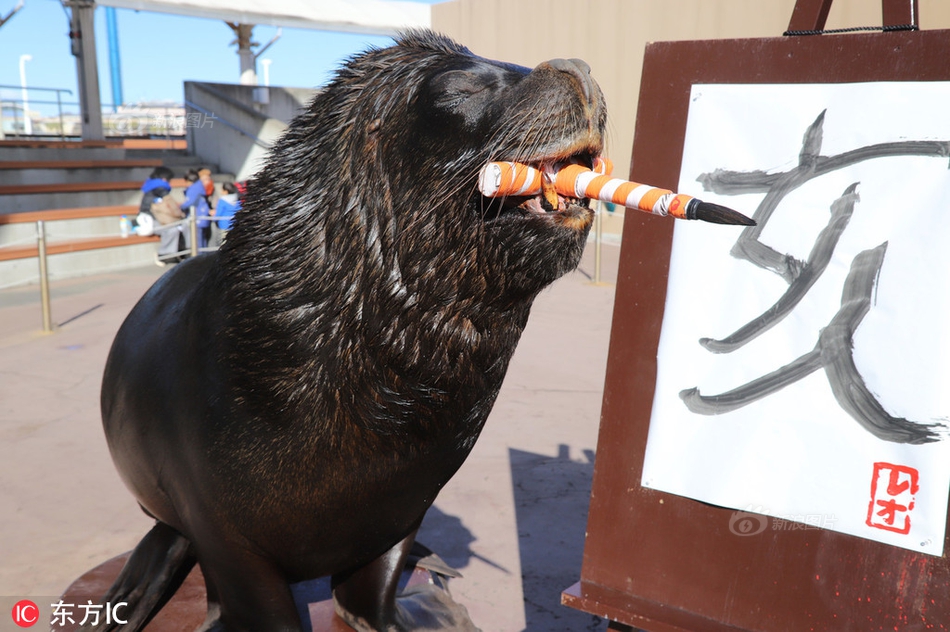 A local bakery won first prize at a national baking competition for its chocolate cake