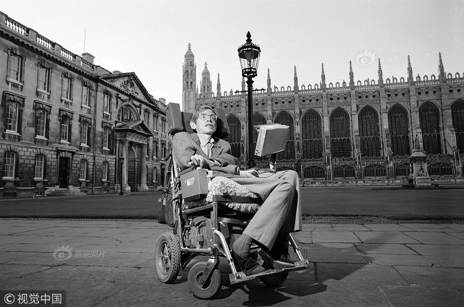 A study found that owning a dog can increase physical activity levels and reduce loneliness