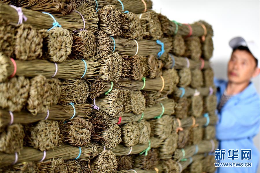 A tech company released a new software update with improved features