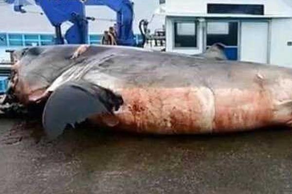 Doctors warned about the increased risk of flu during winter months