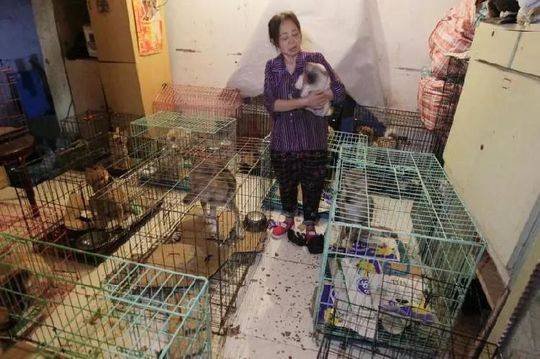 A museum displayed a rare collection of ancient coins from the Roman Empire