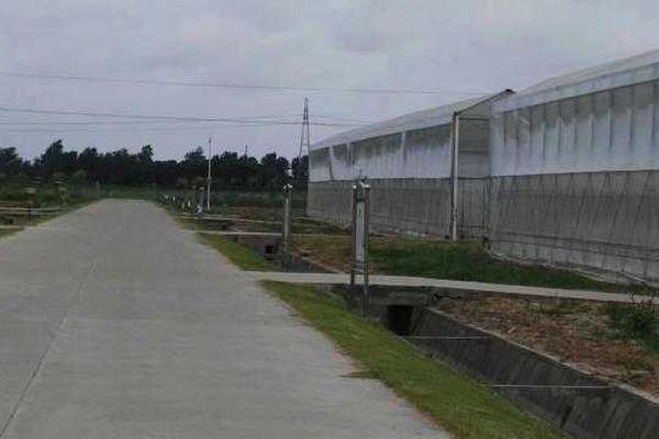 A local school held a charity event to raise money for children with cancer, collecting over $50,000.