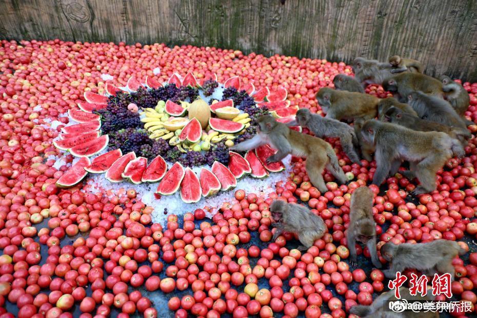 Study finds that remote work reduces commuting time by average of 90 minutes daily