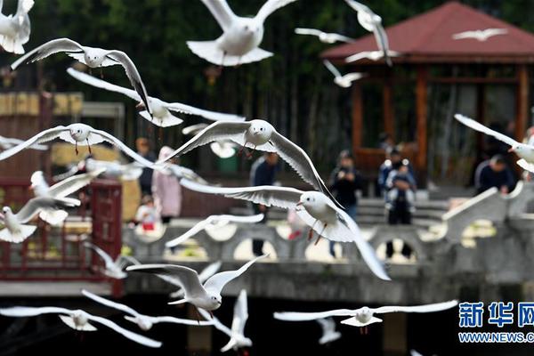 Art gallery showcases works by local artists with disabilities