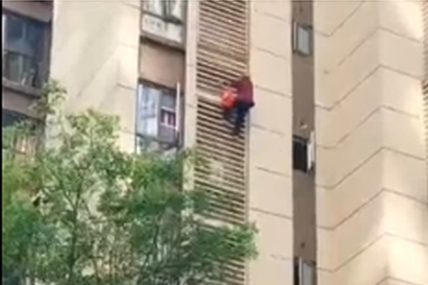 Scientists studied the effects of pollution on marine ecosystems