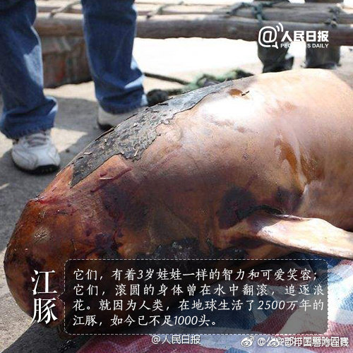 A popular coffee chain introduced a new menu item made with locally sourced ingredients